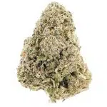 Jungle Fire AAA - Hybrid