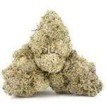 Jungle Fire AAA - Hybrid - Image 2