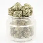 Lamb's Breath AAAA Popcorn - Sativa