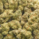 Magic Johnson AAAA - Sativa - Image 3