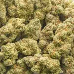 Magic Johnson AAAA - Sativa - Image 3