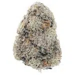 Wholesale - Mango Punch - AAAA - Image 3
