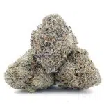 Wholesale - Mango Punch - AAAA - Image 2