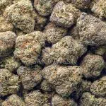 Wholesale - Mango Punch - AAAA