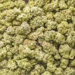 MK Ultra AAA Popcorn - Indica - Image 2