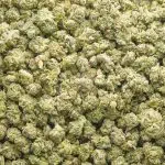 OG Nuken AAA Popcorn - Indica - Image 2