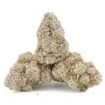 Red Velvet Runtz AAAA - Indica - Image 2