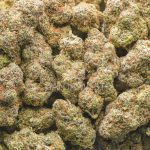 Red Velvet Runtz AAAA - Indica - Image 3