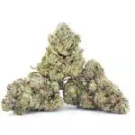 Rockstar Tuna AA - Indica - Image 2