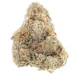 Tundra Skunk AAAA - Hybrid