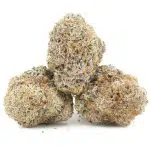 Tundra Skunk AAAA - Hybrid - Image 2