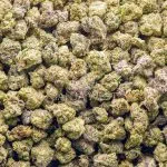 Wholesale Popcorn - Uncle Snoop - AAAA