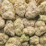 Wedding Cake AAA - Indica - Image 3