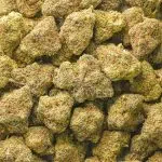 Sour Jedi AA - Sativa - Image 3