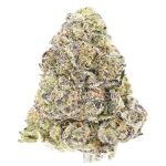 Big Bubba Diesel AA - Indica
