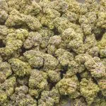 Big Bubba Diesel AA - Indica - Image 3