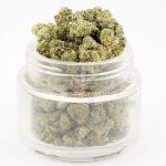 Chocolate Thunder AA Popcorn - Sativa