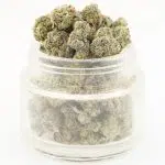 Dank Rainbow AA Popcorn - Indica