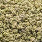 Wholesale Popcorn - Dank Rainbow - AA