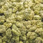 Wholesale - Girl Scout Cookies - AA