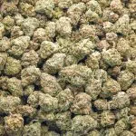 Gorilla Grapes AA Popcorn - Indica - Image 2