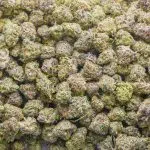 Grape Zorilla Craft Popcorn - Hybrid - Image 2