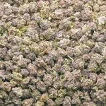 Purple Berry AAA Popcorn - Indica - Image 2