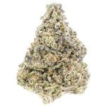 Sunset Blue AA - Indica