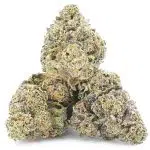 Sunset Blue AA - Indica - Image 2