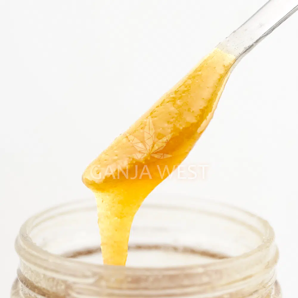 buy-weed-online-dispensary-ganja-west-concentrates-terp-sauce-blueberry-syrup-scoop