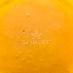 Sauce - Mango Kiwi Haze - Sativa - Image 2