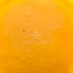 Sauce - Mango Kiwi Haze - Sativa - Image 2