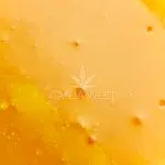 Sauce - Red Dragon - Sativa - Image 2