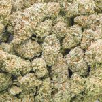 Death Bubba AAAA - Indica - Image 3