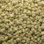Drunken Monkey AAA Popcorn - Indica - Image 2