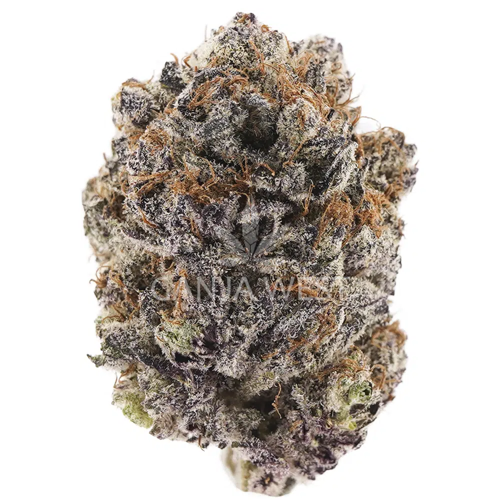 buy-weed-online-dispensary-ganja-west-blackberry-aaaa-nug (2)