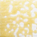 Shatter - Blueberry Master P - Indica - Image 2
