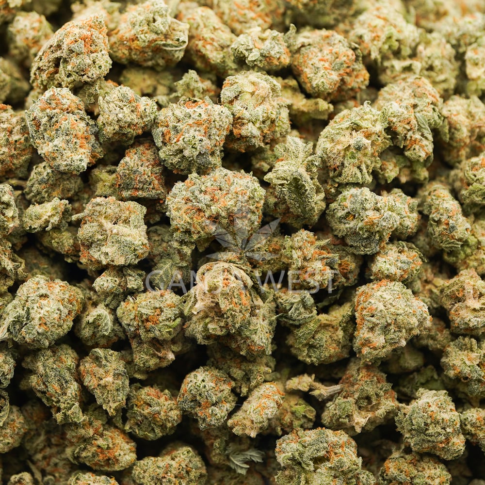 buy-weed-online-dispensary-ganja-west-deathbed-kush-aaaa-popcorn-wholesale