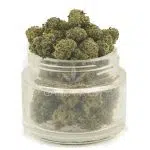 Wholesale Popcorn - Greyberry - AAA - Image 2