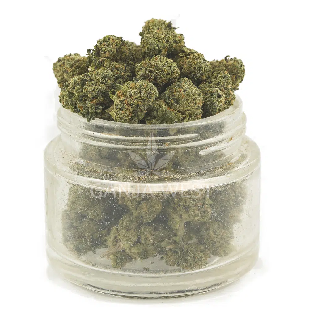 buy-weed-online-dispensary-ganja-west-greyberry-aaa-popcorn-jar