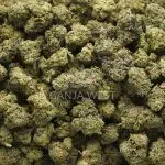Wholesale Popcorn - Greyberry - AAA