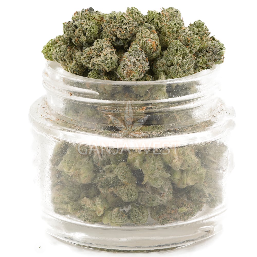 buy-weed-online-dispensary-ganja-west-pluto-craft-popcorn-jar