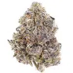 Banana Cream Pie AA - Indica