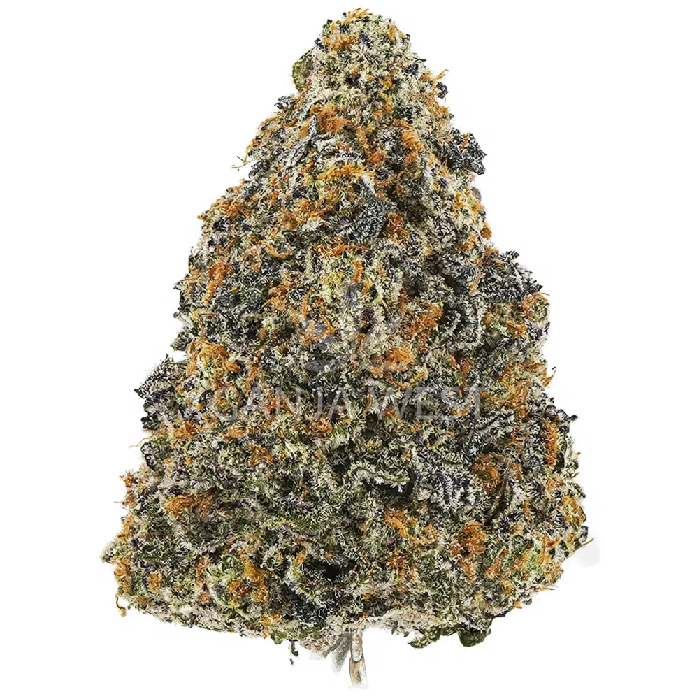 buy-weed-online-dispensary-ganja-west-big-league-sherb-aaaa-nug Big League Sherb AAAA - Hybrid - Image 1