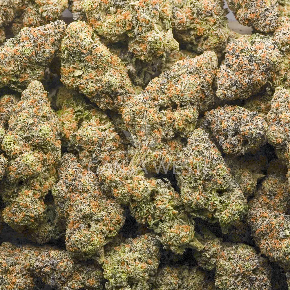 buy-weed-online-dispensary-ganja-west-big-league-sherb-aaaa-wholesale Wholesale - Big League Sherb - AAAA - Image 1