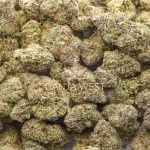 Blue Zushi AA - Indica - Image 3