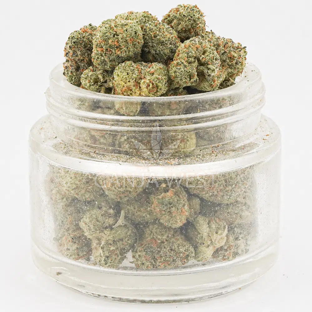 buy-weed-online-dispensary-ganja-west-cheetah-runtz-aaa-popcorn-jar Cheetah Runtz AAA Popcorn - Hybrid - Image 1