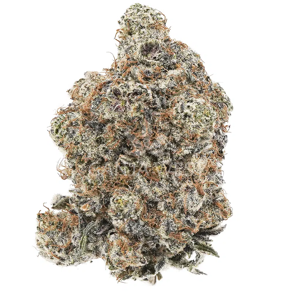 buy-weed-online-dispensary-ganja-west-jordanz-craft-nug Jordanz Craft - Hybrid - Image 1