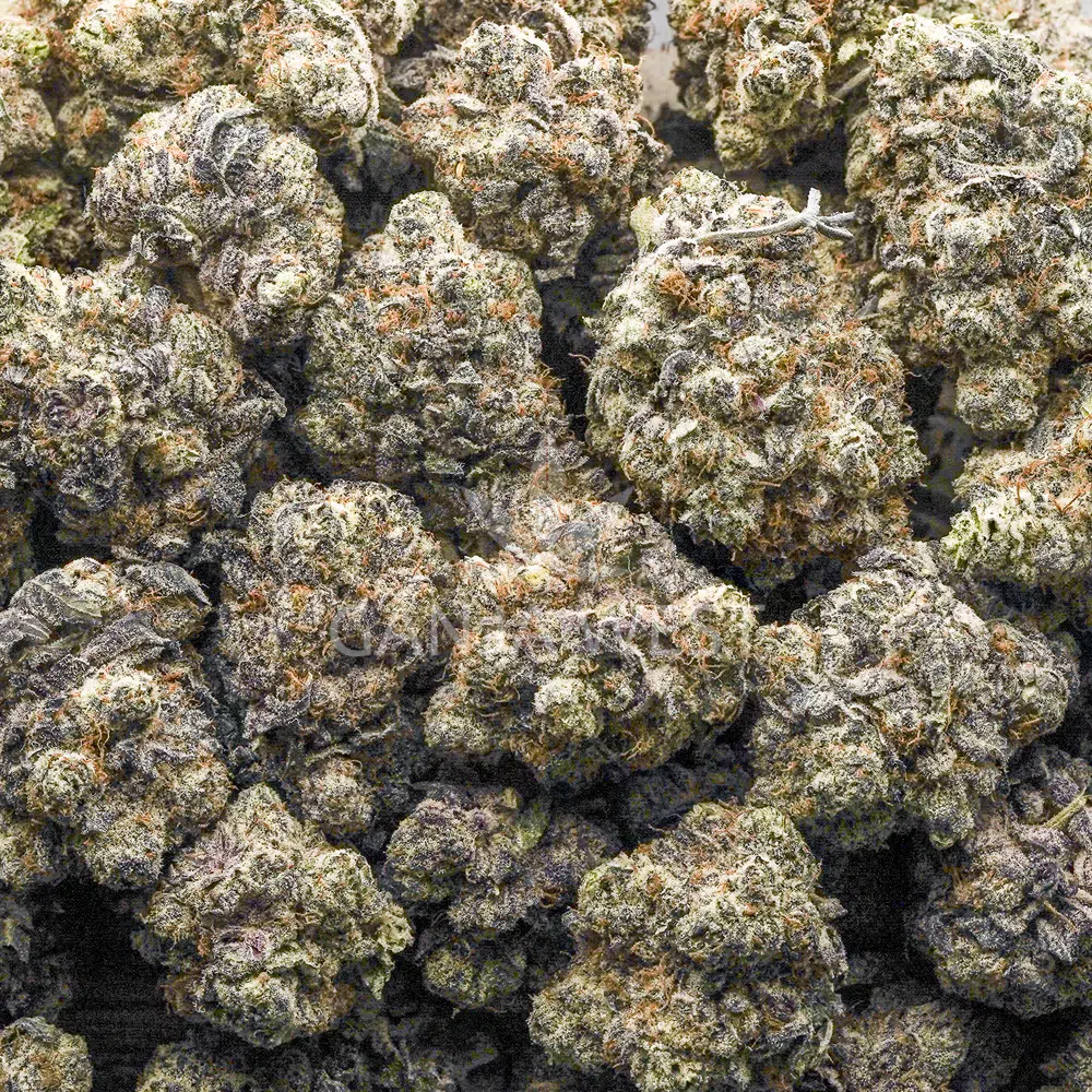 buy-weed-online-dispensary-ganja-west-jordanz-craft-wholesale Wholesale - Jordanz - Craft - Image 1