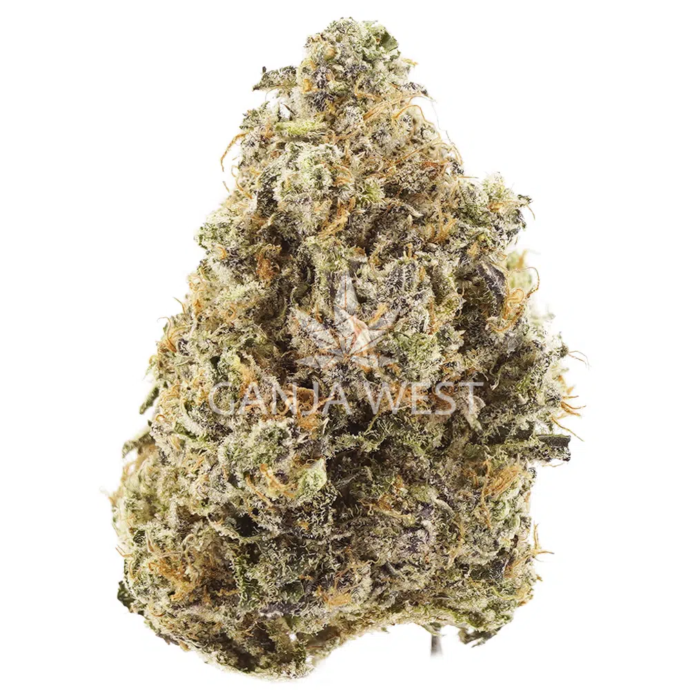 buy-weed-online-dispensary-ganja-west-lucky-charms-aaa-nug Lucky Charms AAA - Hybrid - Image 1